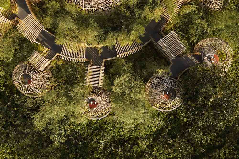 Terra at Waldorf Astoria Maldives Ithaafushi thumbnail 2